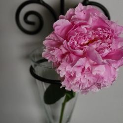 Beautiful wall vases