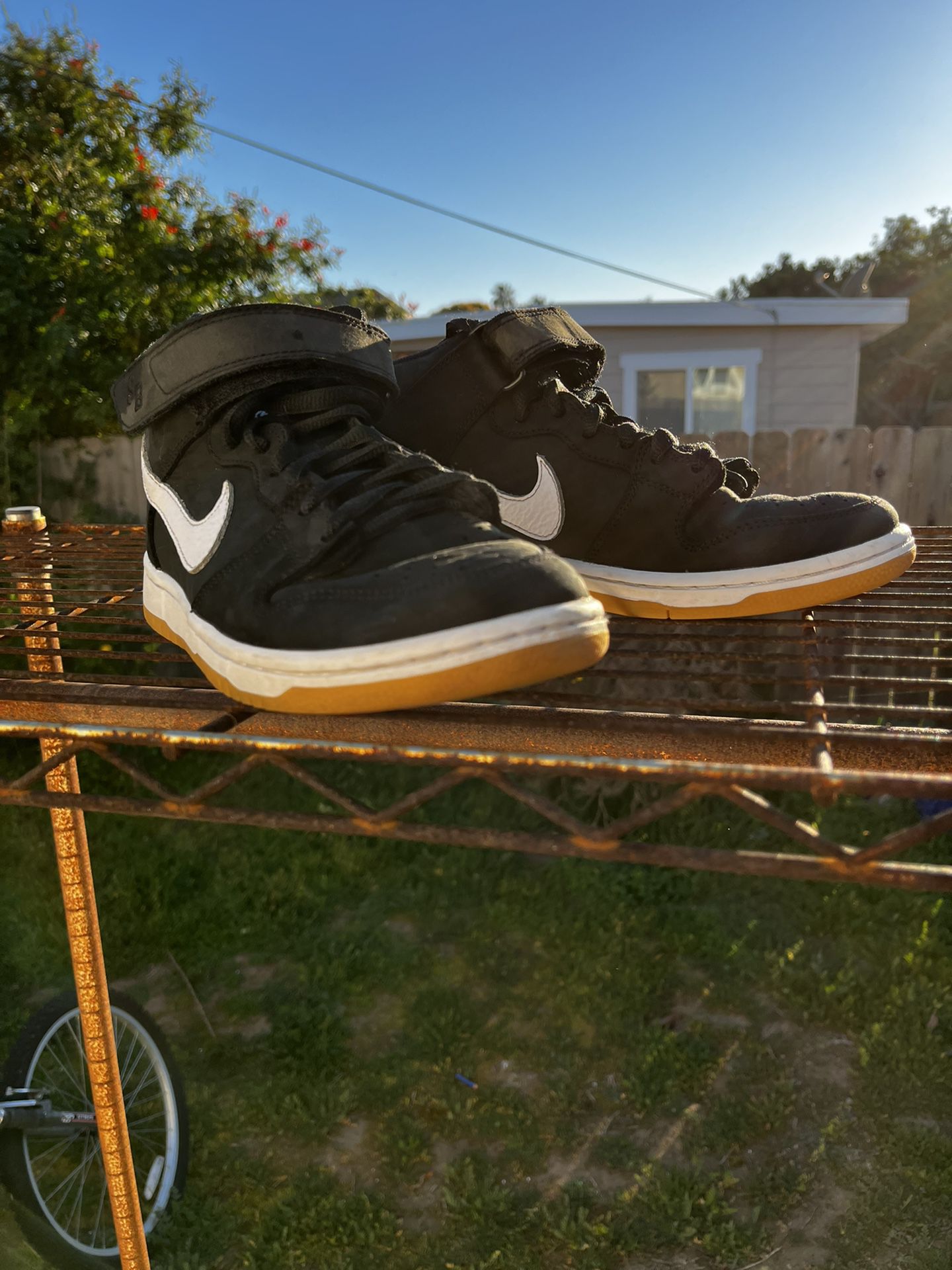 Nike Sb for Sale in - OfferUp
