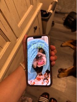 iPhone 13 - white