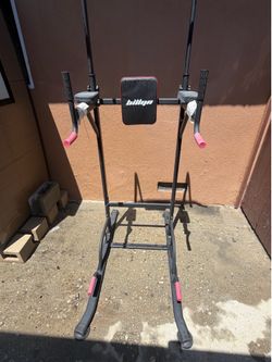 pull-up and dip station