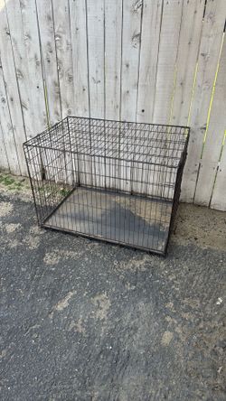 Dog Kennel