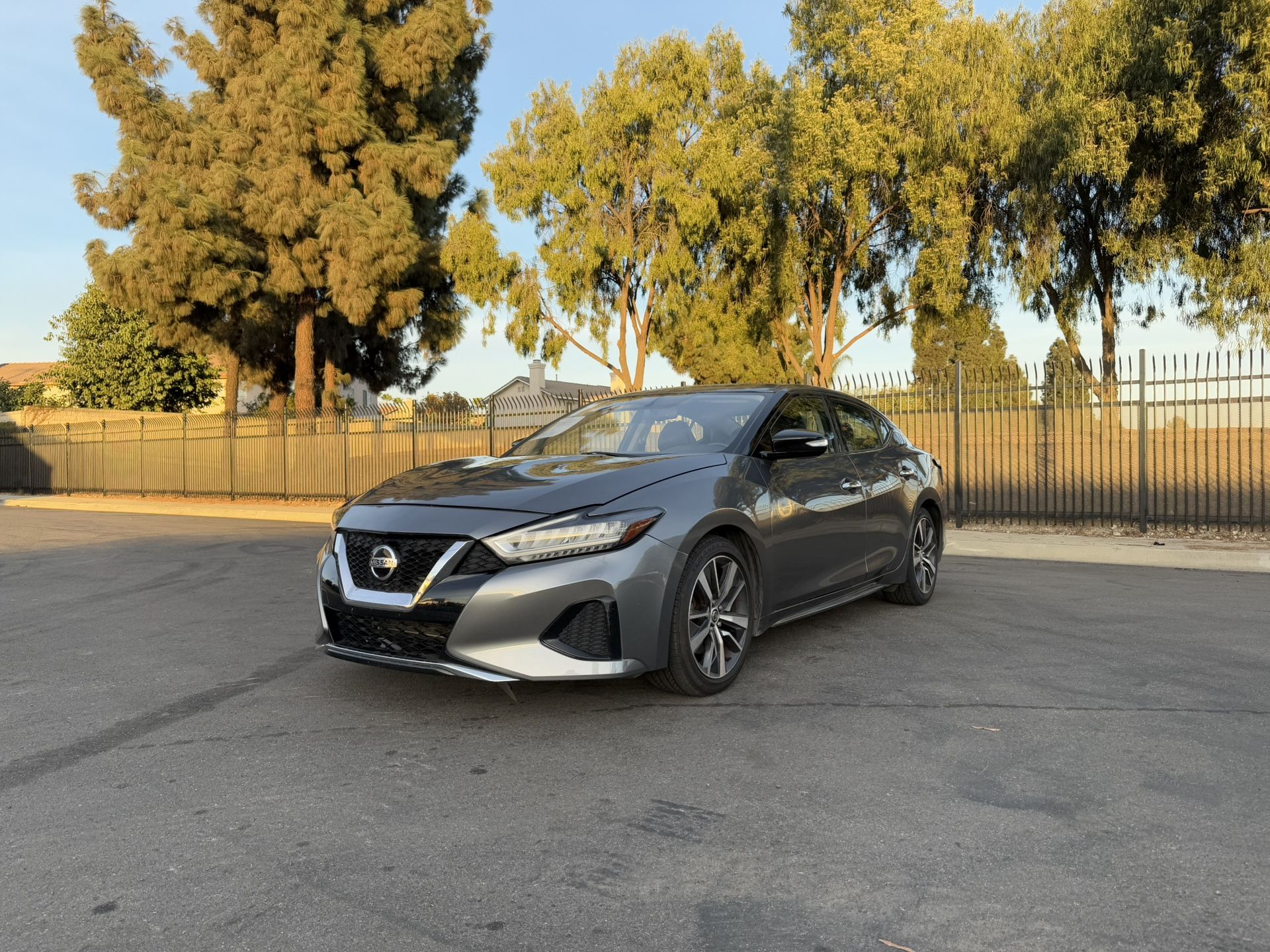 2019 Nissan Maxima