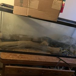 50 Gallon Glass Tank
