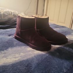 BRAND NEW PURPLE BEARCLAW SHORT BOOTS