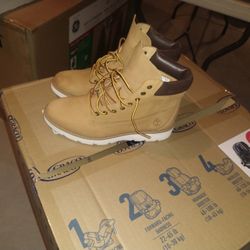 Timberlands Men's Size 8