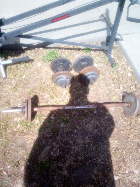 Curl Bar And Dumbbells
