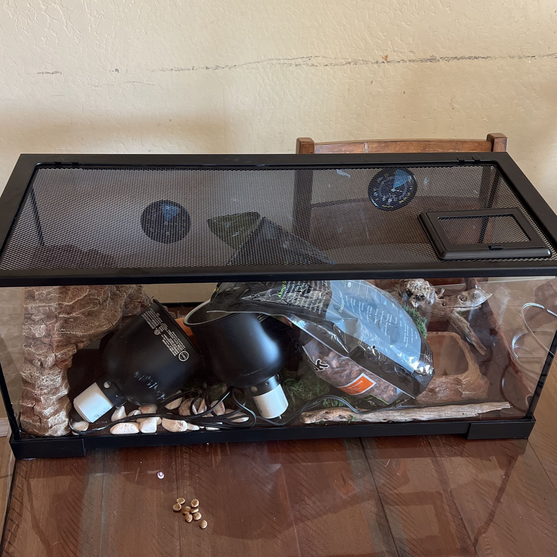 Reptile Tank With Everything 