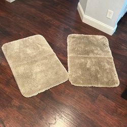 Bathroom Rugs 2’x3’