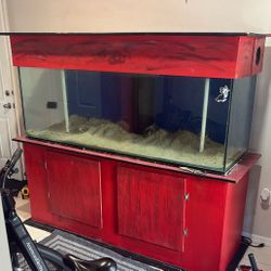 300 Gallon Fish Tank 