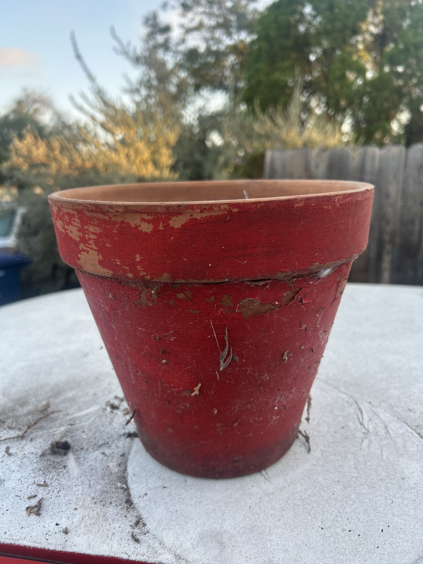 Red Terracotta Plant Pot