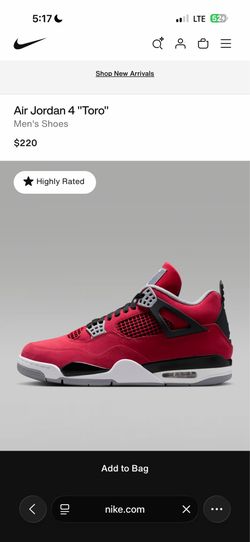 Air Jordan 4 Toro