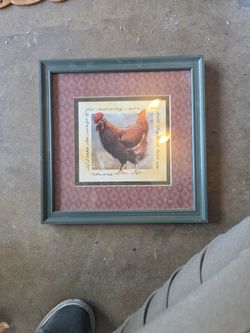 Chicken Photo
