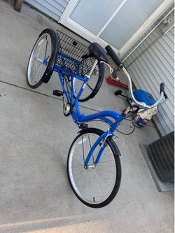 Adult TriCycle Used