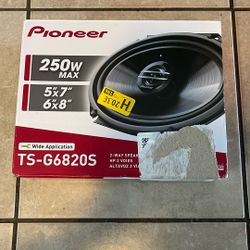 Pioneer 2-way Speaker