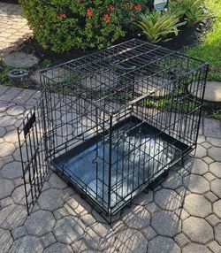 Black Foldable Wire Pet Crate with Tray 24x17x17