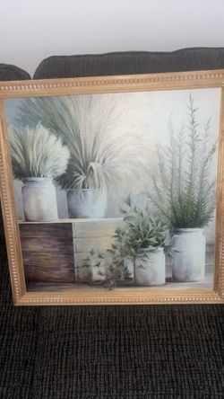Plant Picture frame