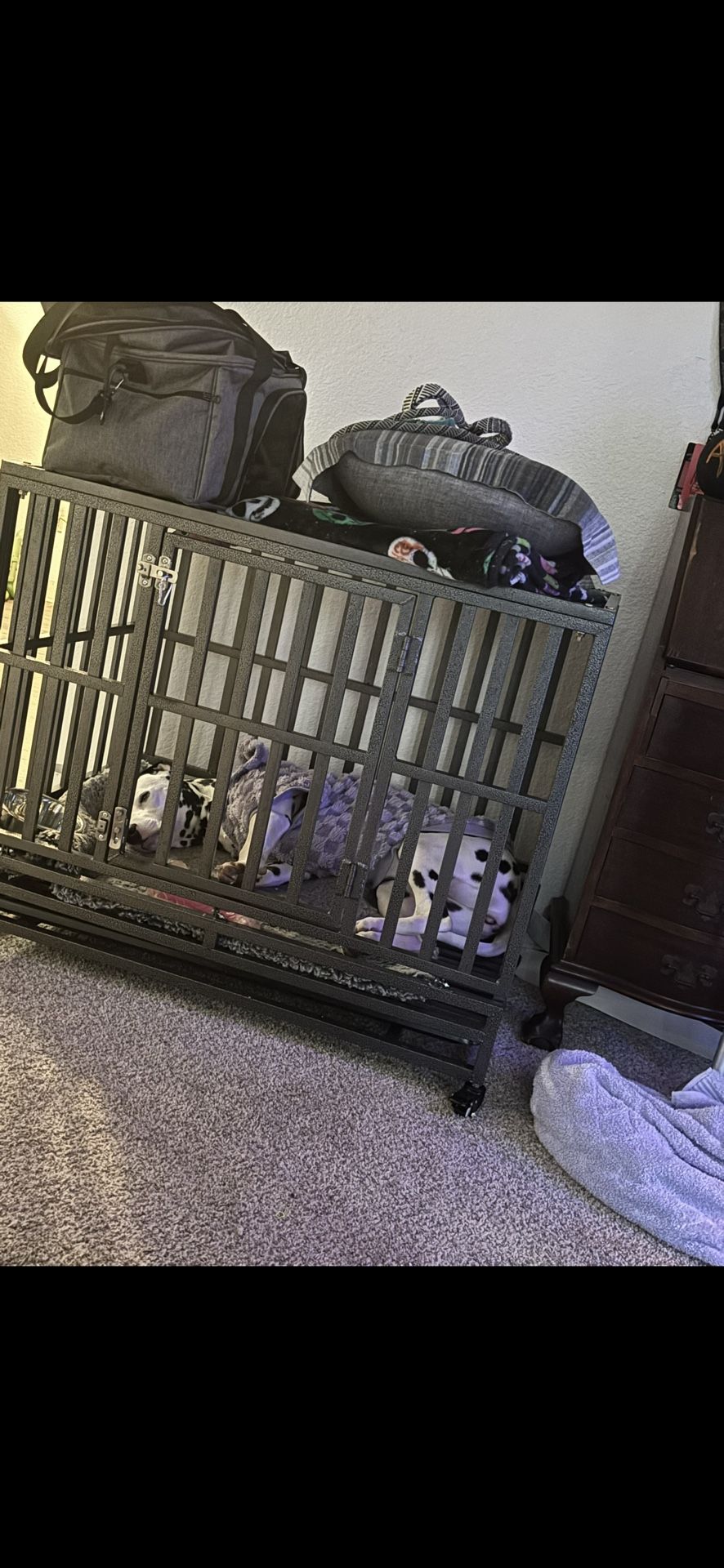 Metal Sturdy Dog Crate