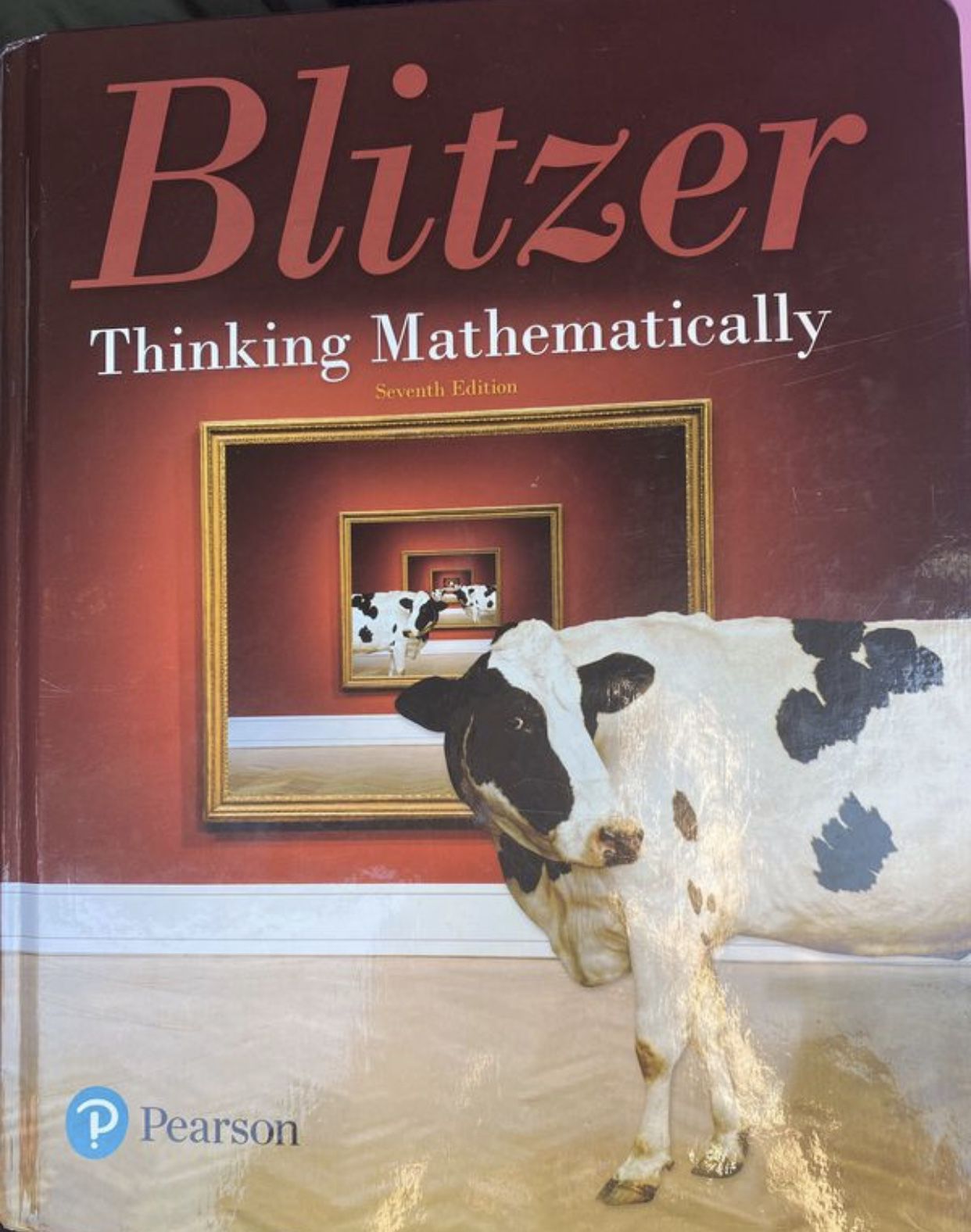 Blitzer thinking mathematically