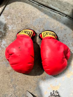 Everlast Red Boxing Gloves