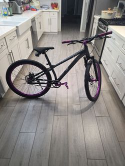 26in Custom SpeedX