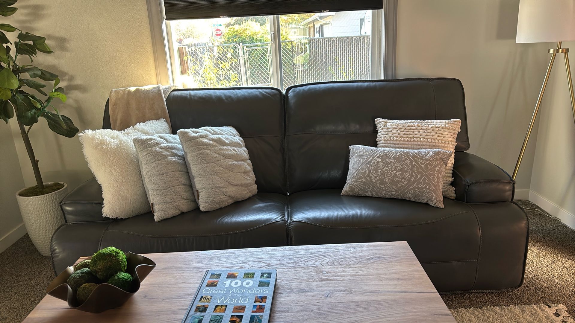 Couch & Recliner $700.00