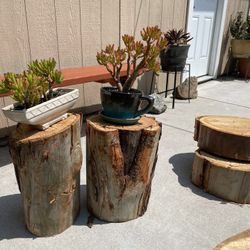 Stumps For Project 