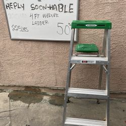4 Ft Werner Ladder 225lbs