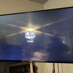 49 Inch Lg Tv/Please Read Below