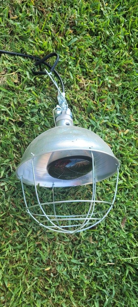 Chicken Coop Heater And Light