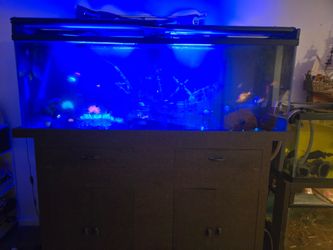 Fish tank complete set