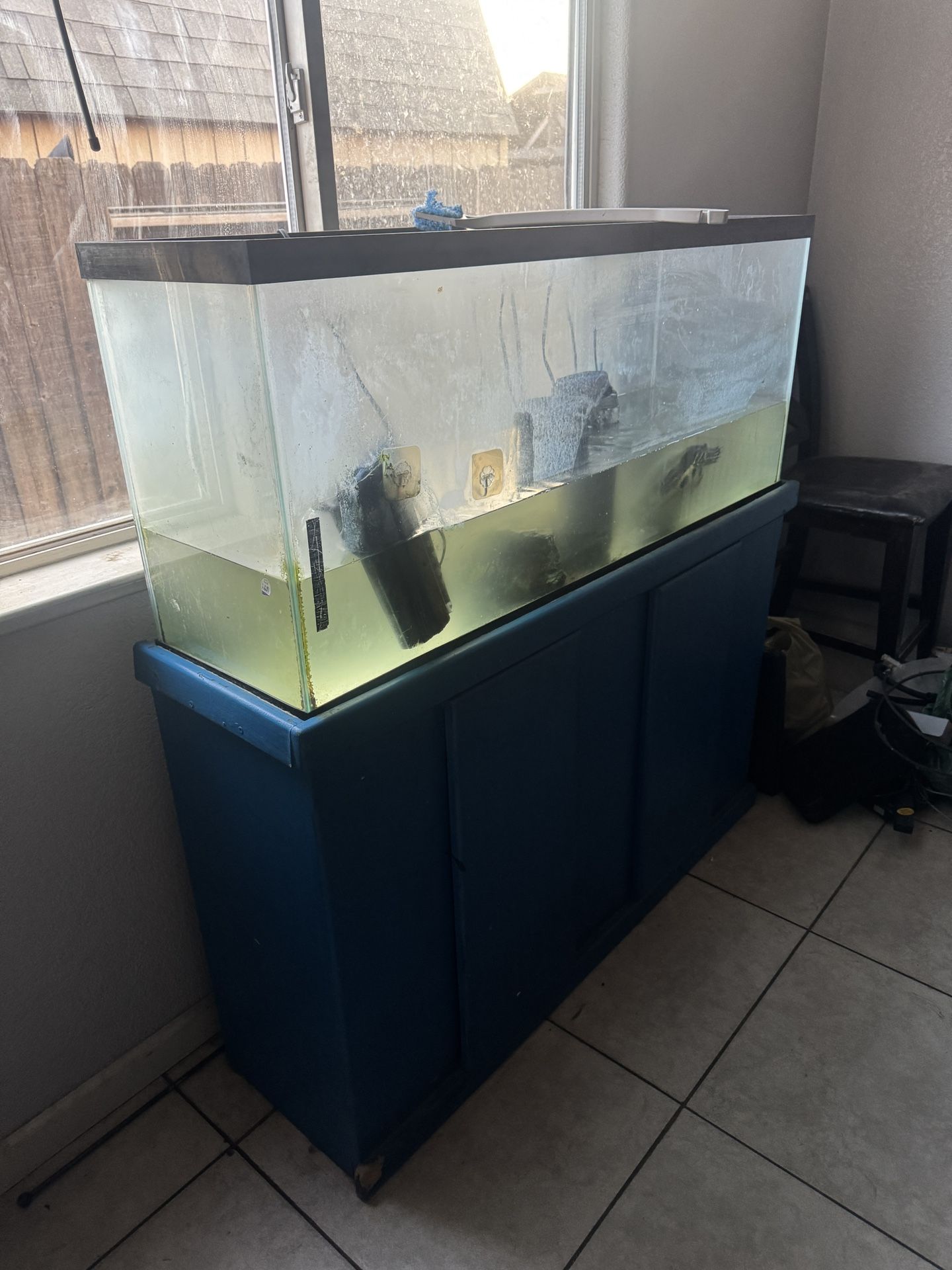 Desk And Tank With Turtle 