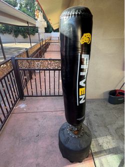 Standing punching bag