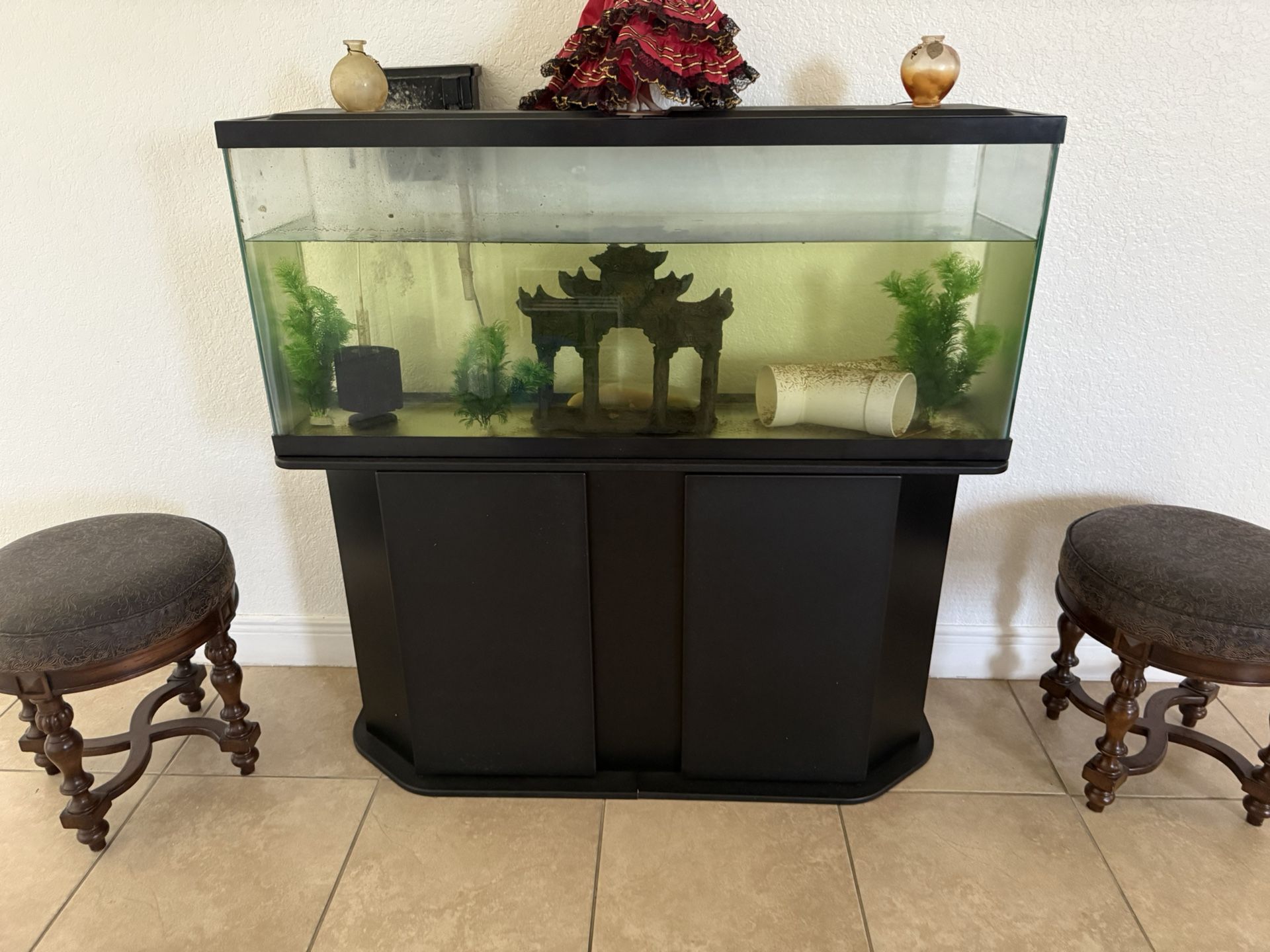 55 Gallon Aquarium
