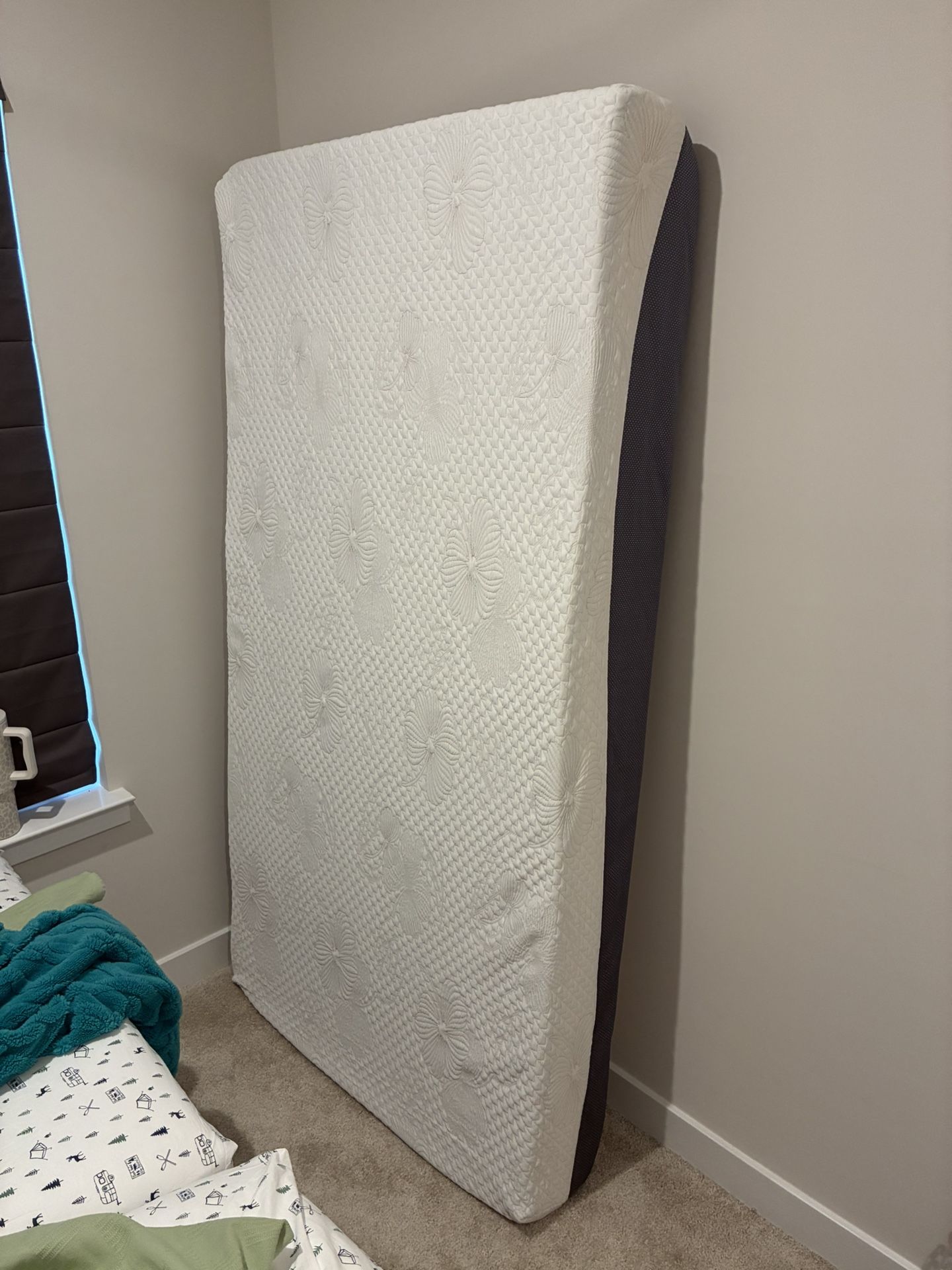 Twin Mattress 