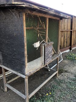 Bird Cage Or Chicken Coop