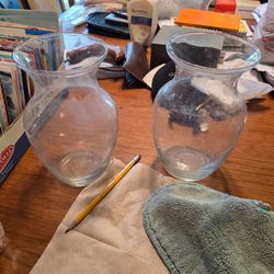 FREE - Set of 2 Standard Size Glass Vases