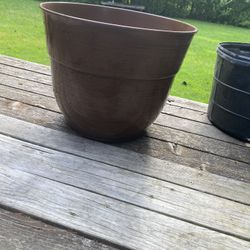 Flower Pot 