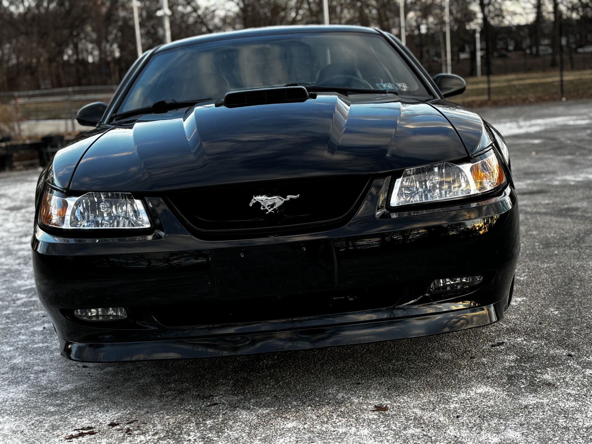 2003 Ford Mustang