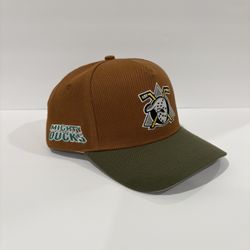 KTH Kill The Hype Tonal Ducks SnapBack Hat, Mighty Duck$, Extremely Rare, NWT 🦆