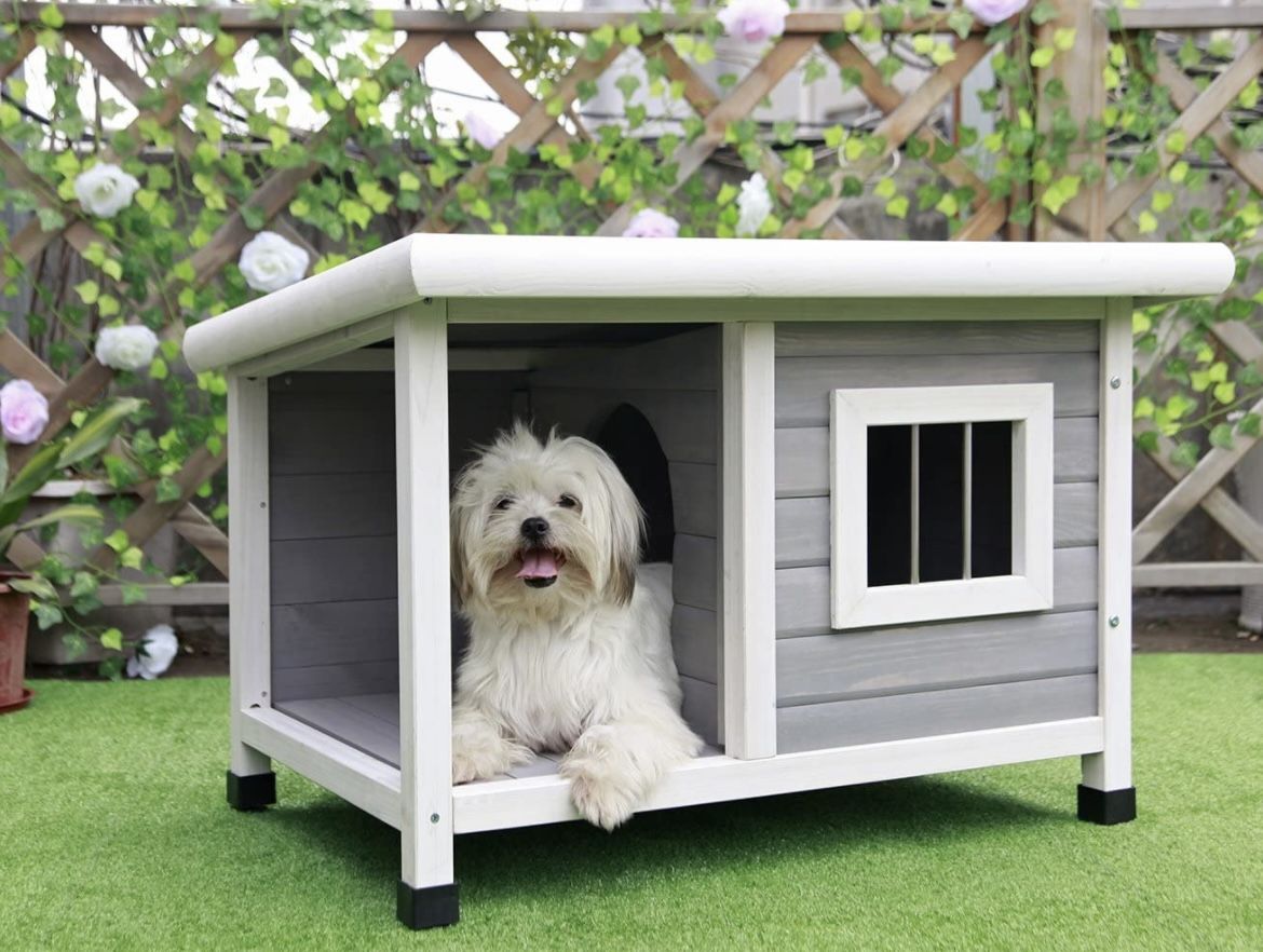 Casitas Para Perros