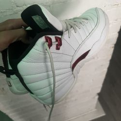 Jordan 12 