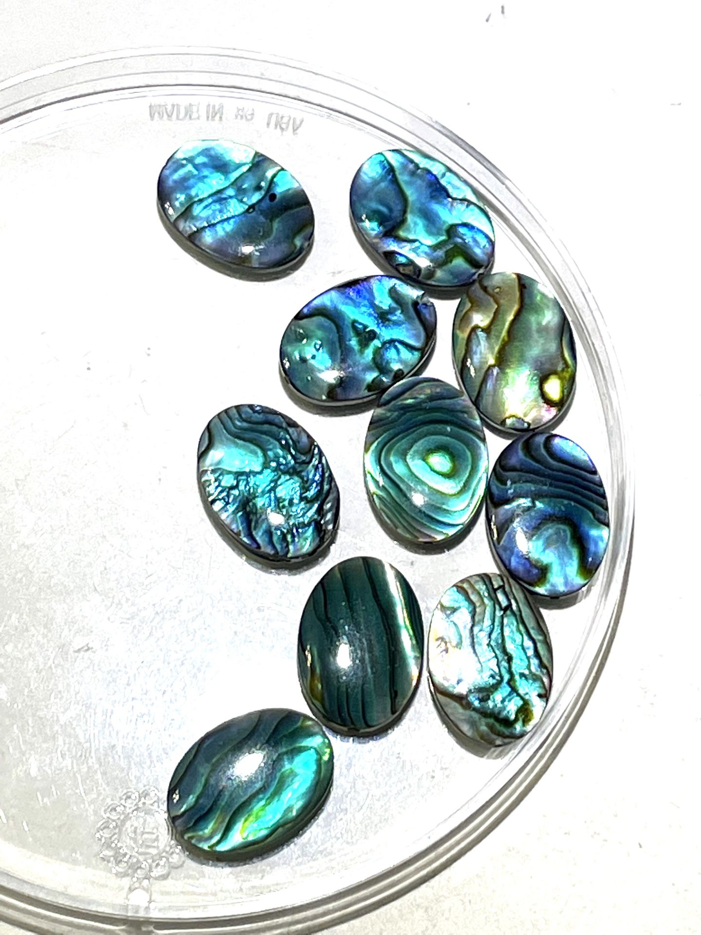 Natural Abalone 28mm Beads