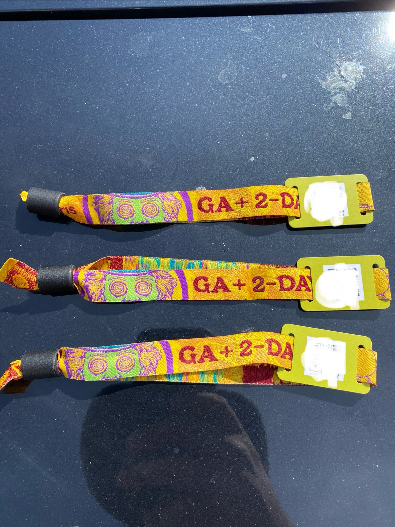 Beyond Wonderland 2024 GA+!!