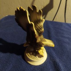 American Bald Eagle