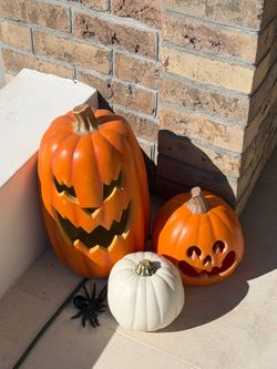 Halloween pumpkins selling all some w/lights