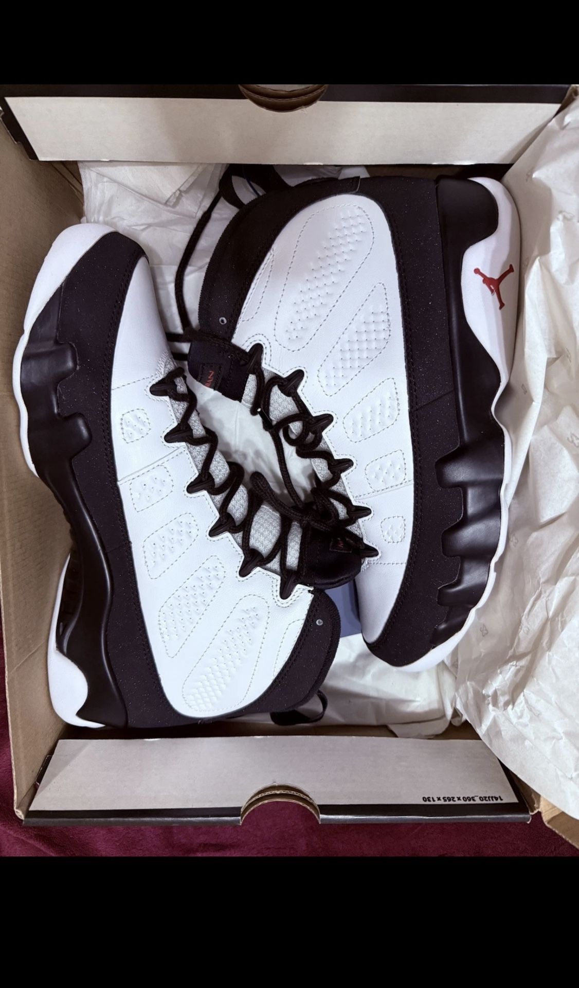 Air Jordan 9 Retro OG 'Space Jam'