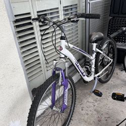 Schwinn Bike