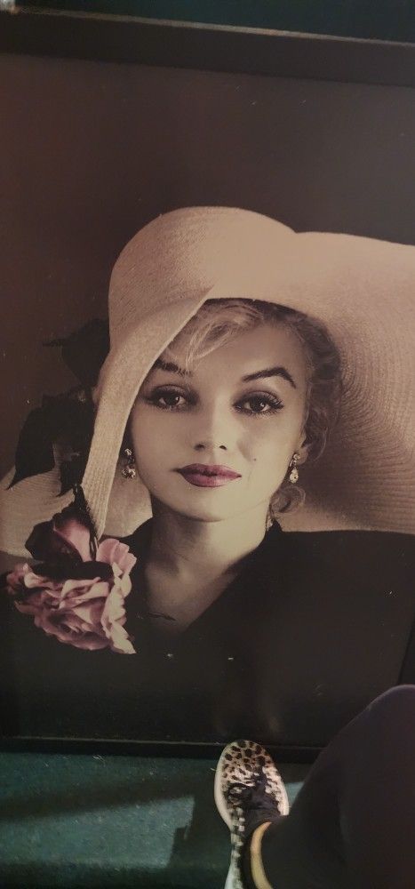 Marilyn Monroe Pictures