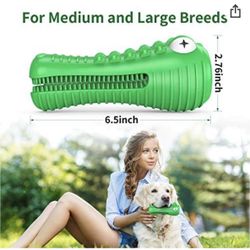Squeaky Dog Chew Toy
