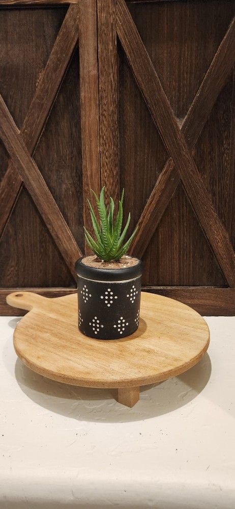 Handmade Ceramic Succulent